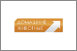 Домашние животные